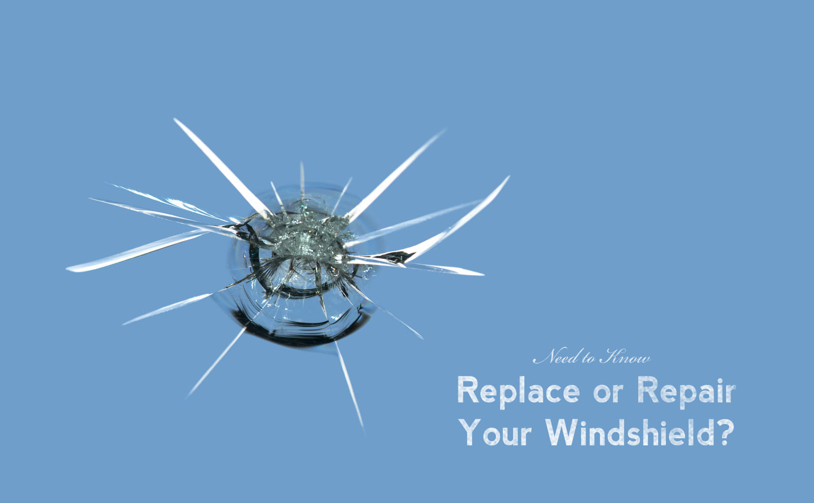 windshield repair replace